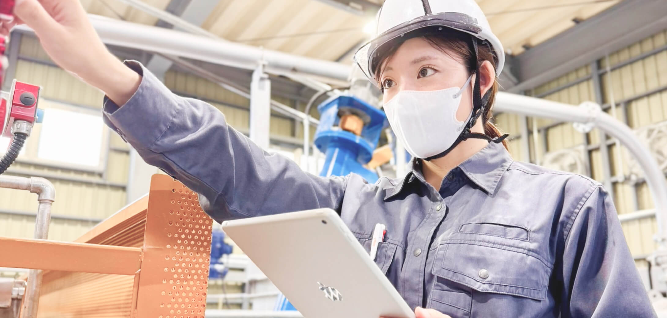 生脂の回収・加工処理・販売