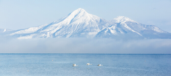 生脂の回収サービス0