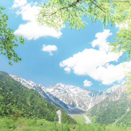 生脂の回収サービス1