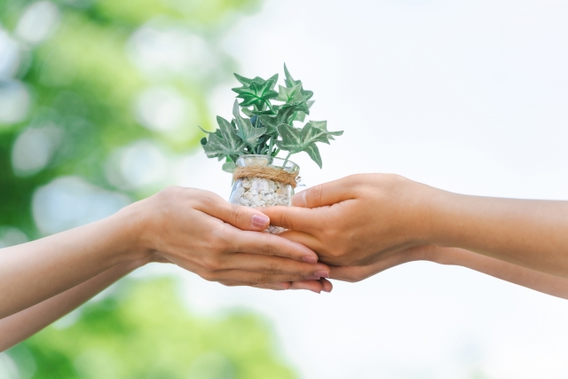 廃油の引き取り完全攻略！プロが教える無料で賢く処分する方法