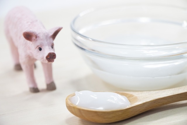 【栃木県】餃子王国を支えるもう一つの産業・食肉残渣リユースの現場